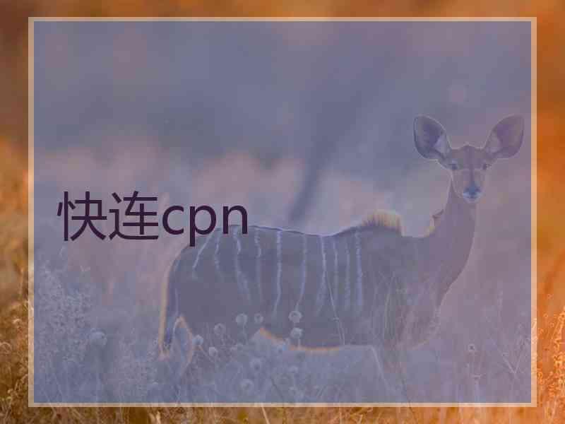 快连cpn