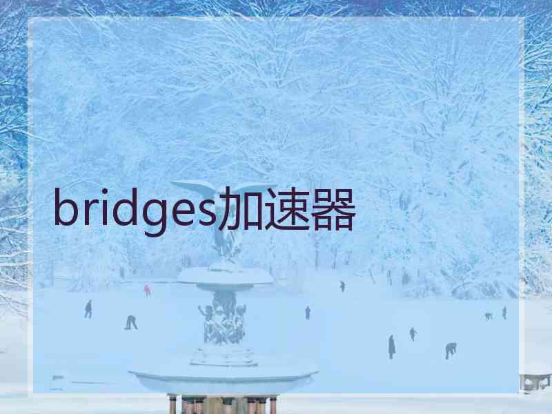 bridges加速器