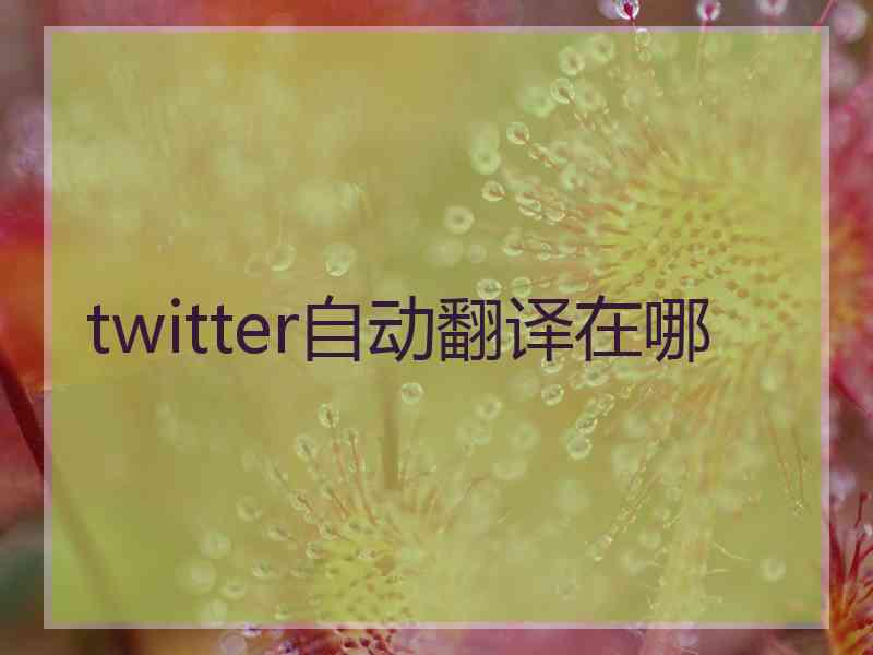 twitter自动翻译在哪