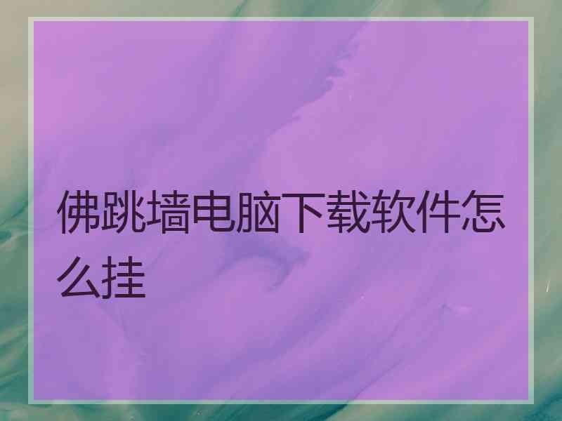 佛跳墙电脑下载软件怎么挂