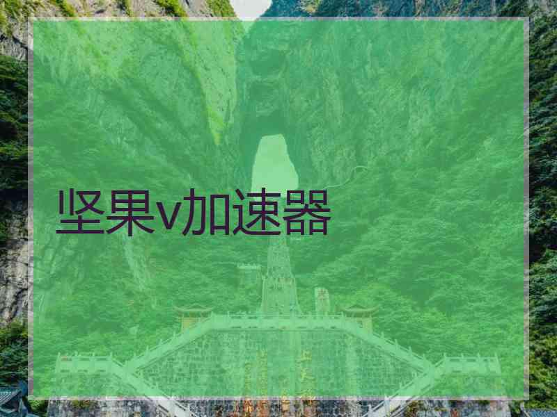 坚果v加速器