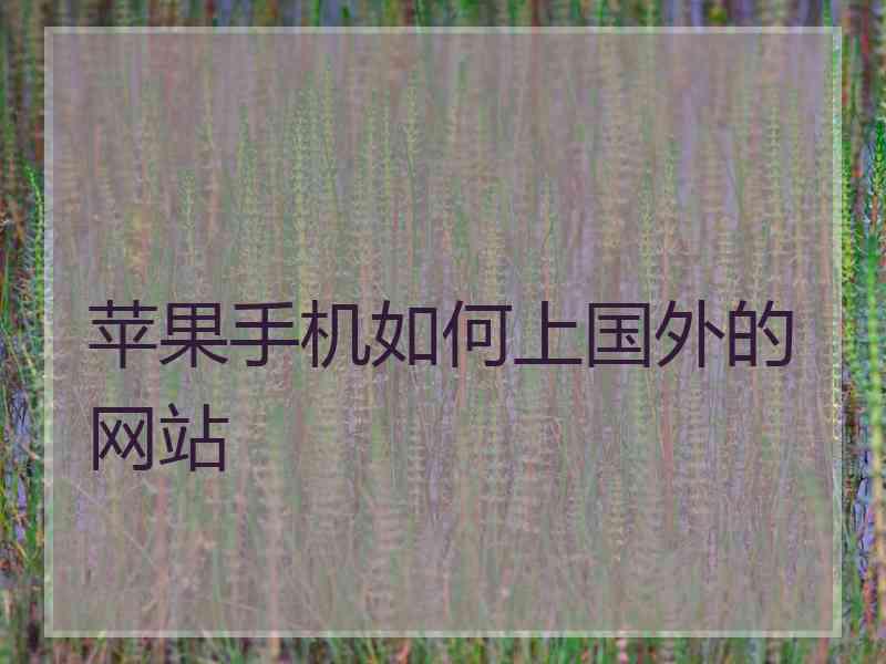 苹果手机如何上国外的网站