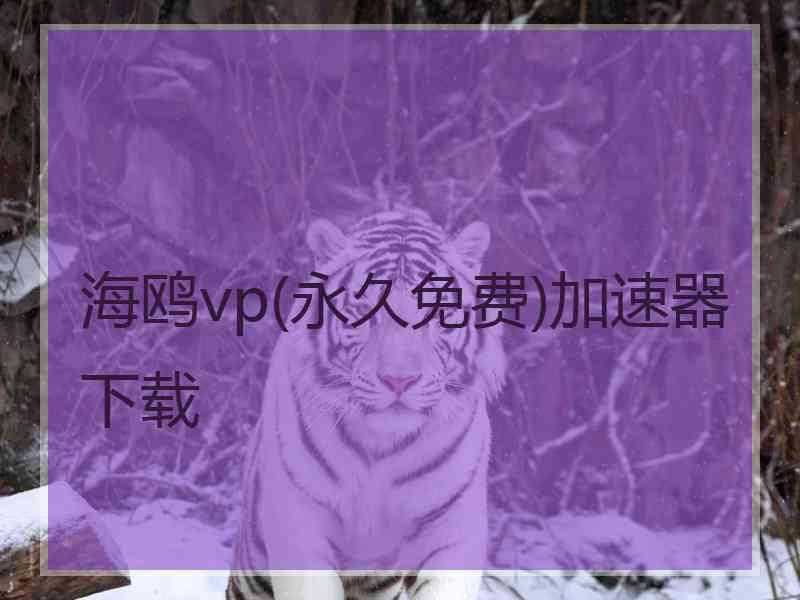 海鸥vp(永久免费)加速器下载