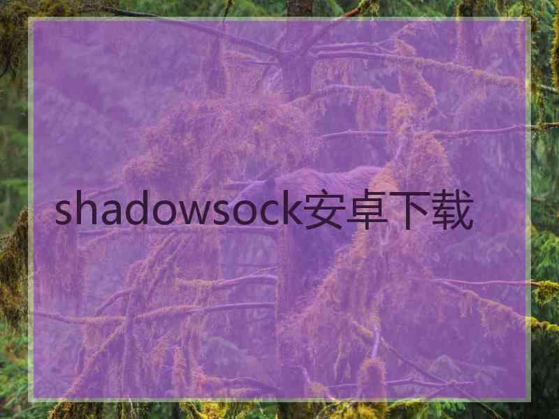 shadowsock安卓下载