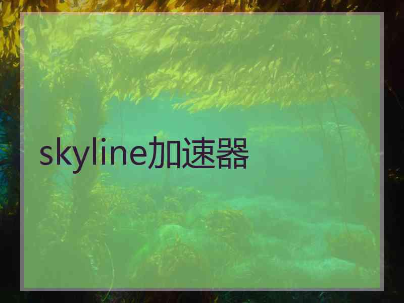 skyline加速器