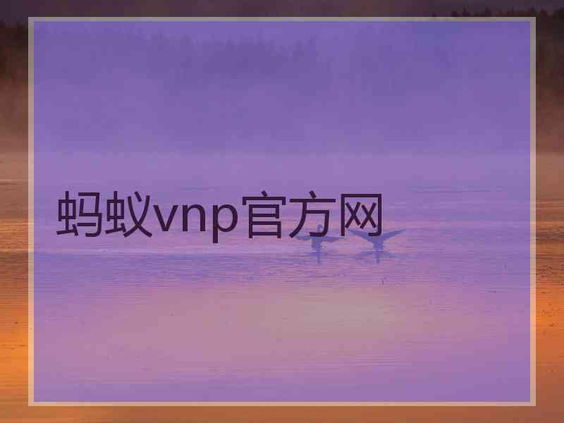 蚂蚁vnp官方网