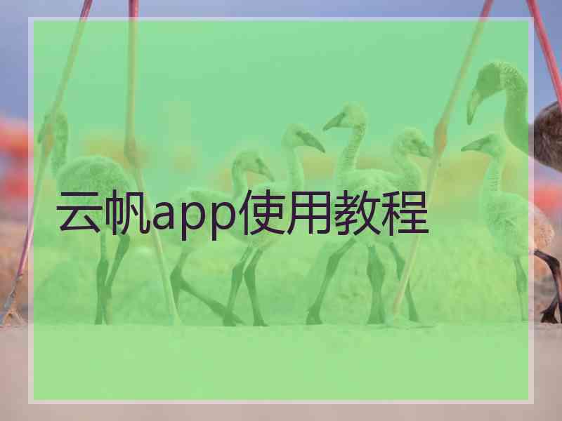 云帆app使用教程