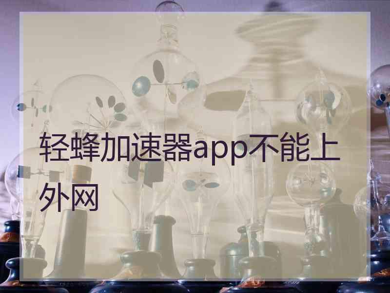 轻蜂加速器app不能上外网