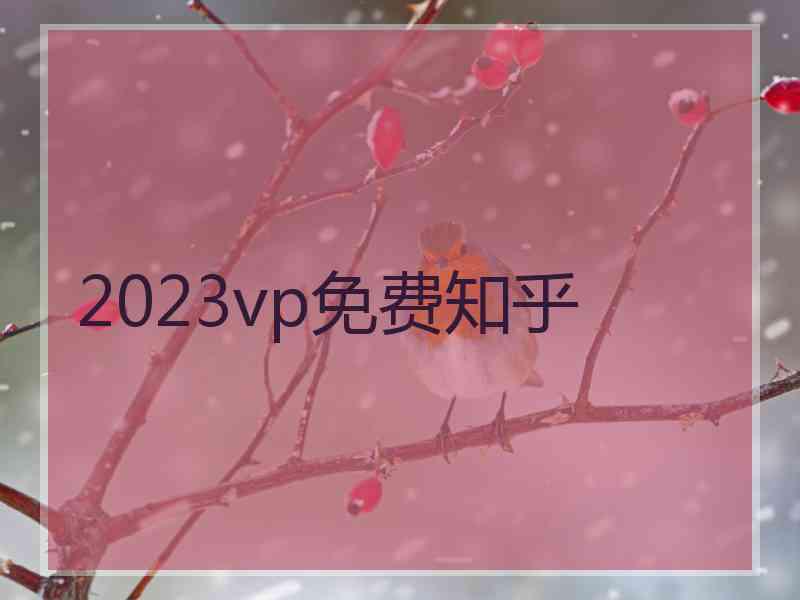 2023vp免费知乎