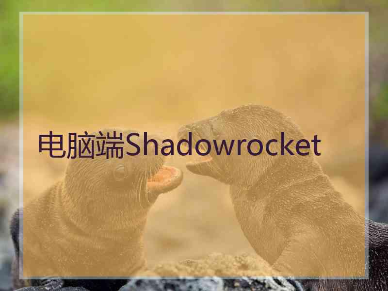 电脑端Shadowrocket