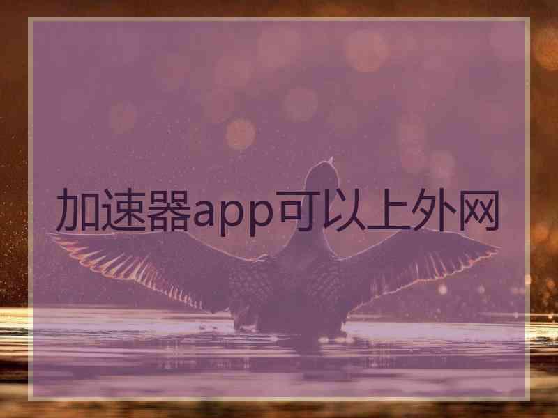 加速器app可以上外网