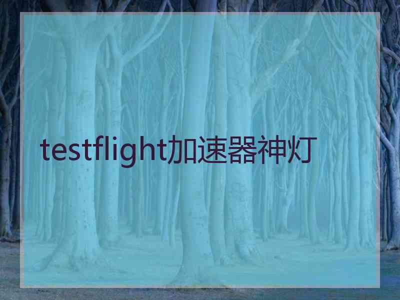 testflight加速器神灯