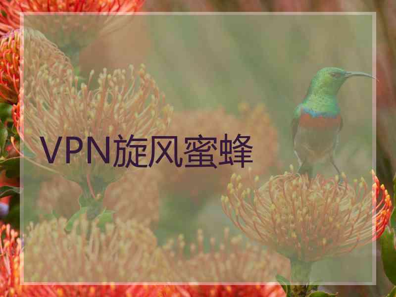 VPN旋风蜜蜂