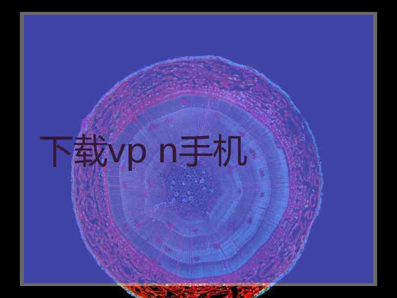 下载vp n手机