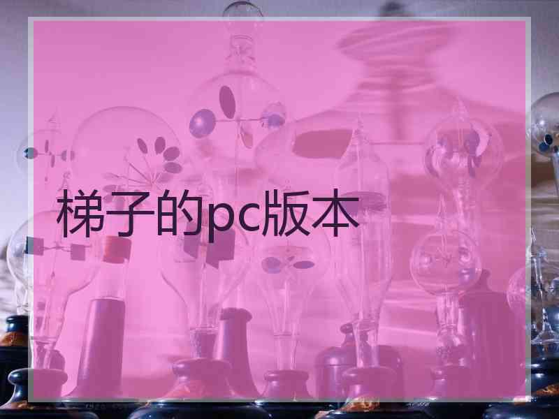 梯子的pc版本