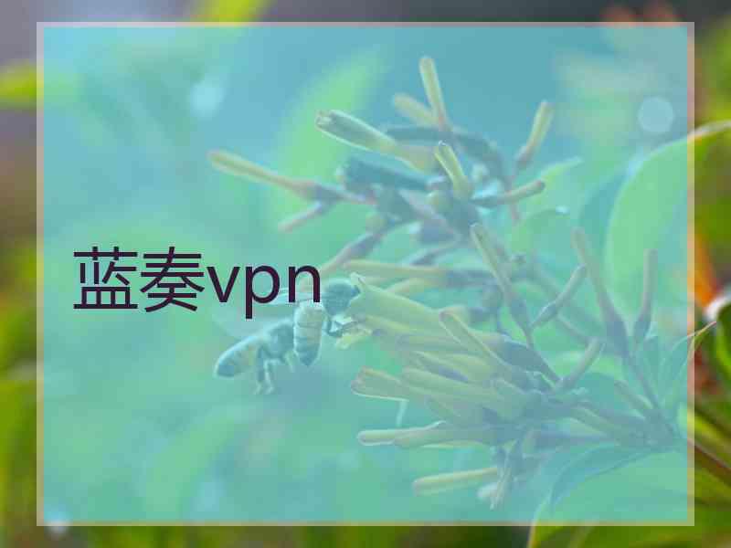 蓝奏vpn