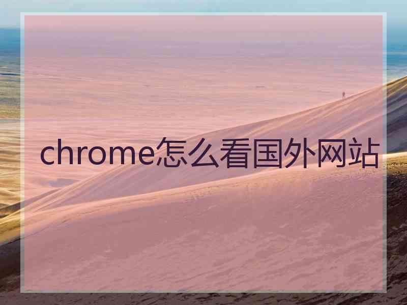 chrome怎么看国外网站