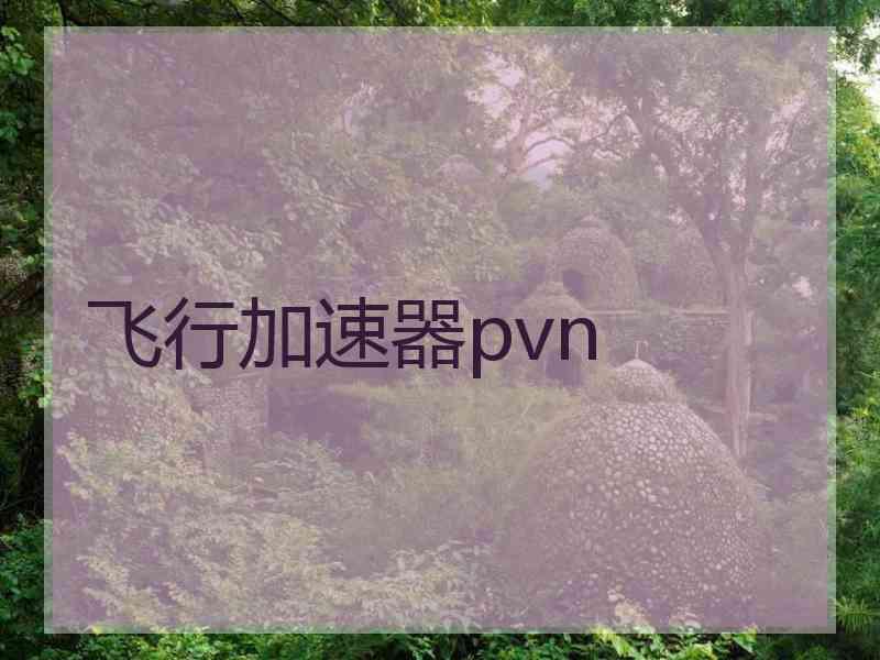 飞行加速器pvn