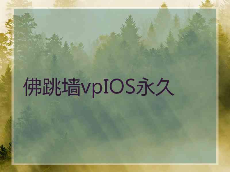 佛跳墙vpIOS永久