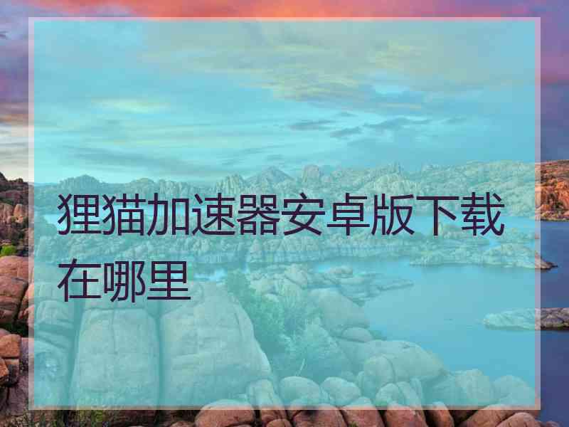 狸猫加速器安卓版下载在哪里