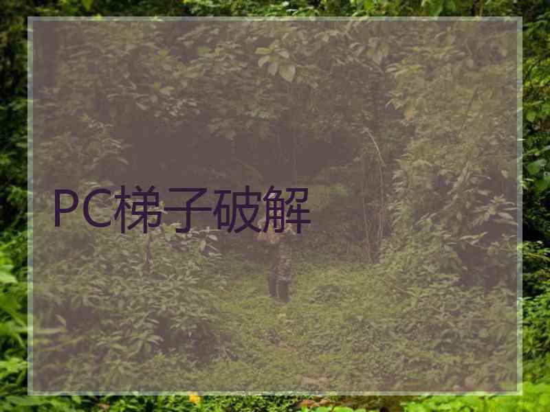 PC梯子破解