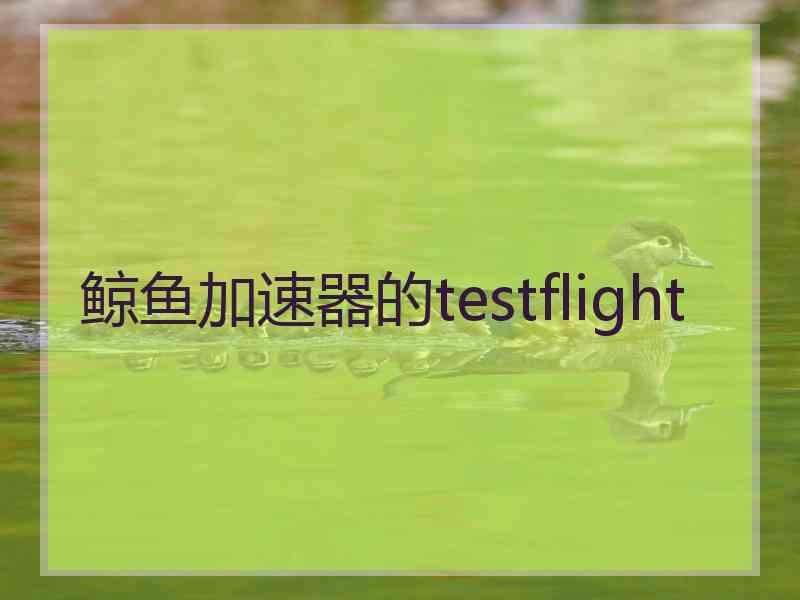 鲸鱼加速器的testflight