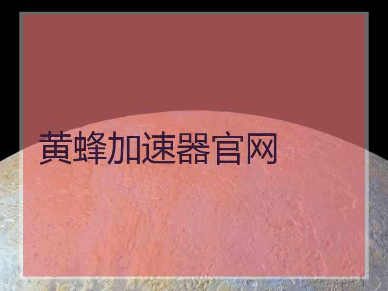 黄蜂加速器官网