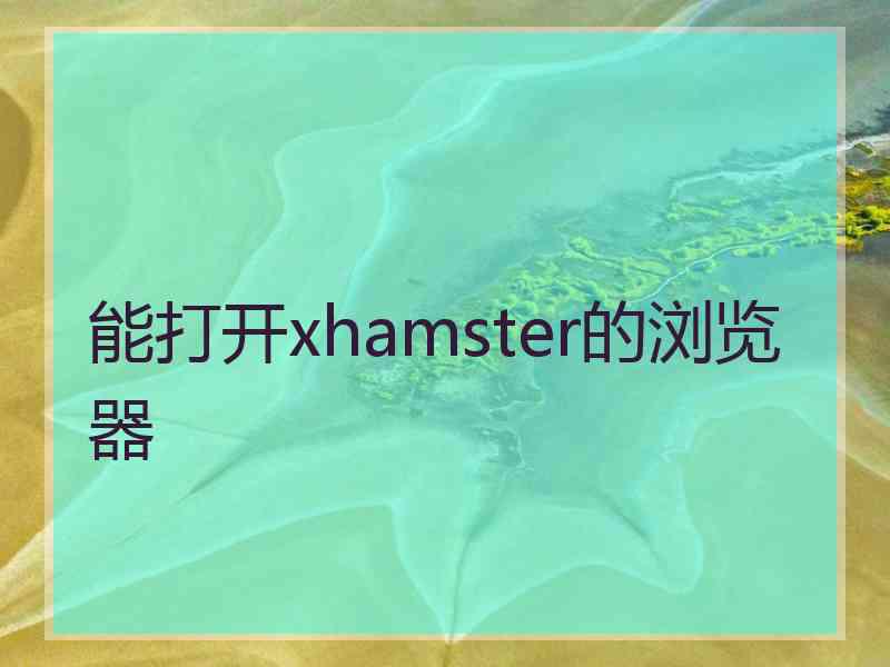 能打开xhamster的浏览器