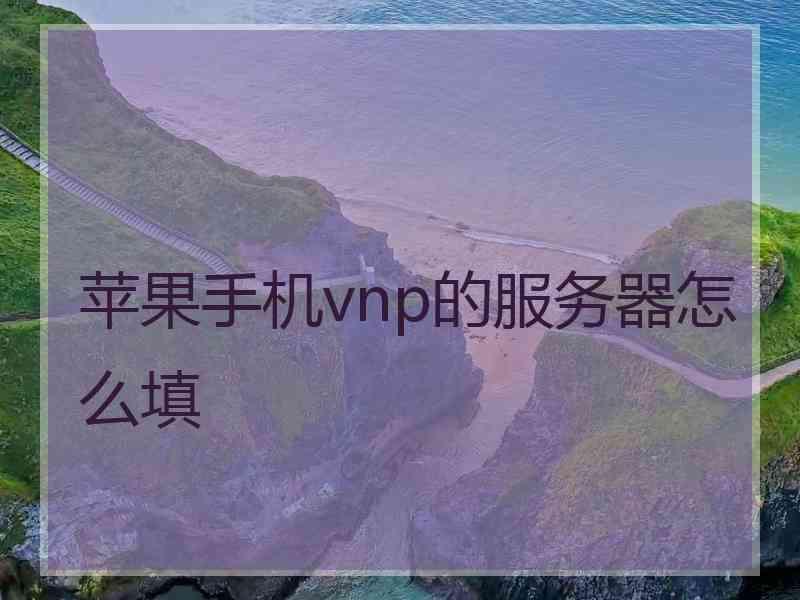 苹果手机vnp的服务器怎么填