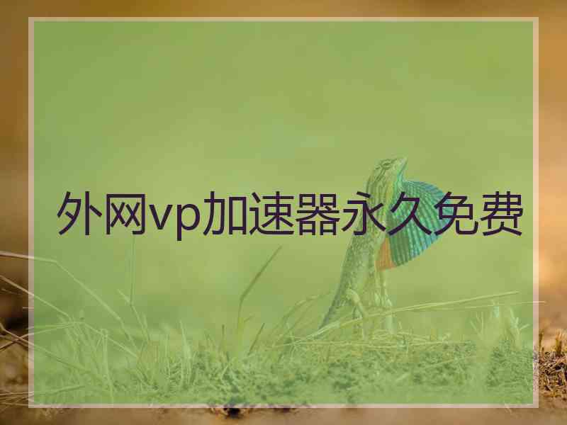 外网vp加速器永久免费