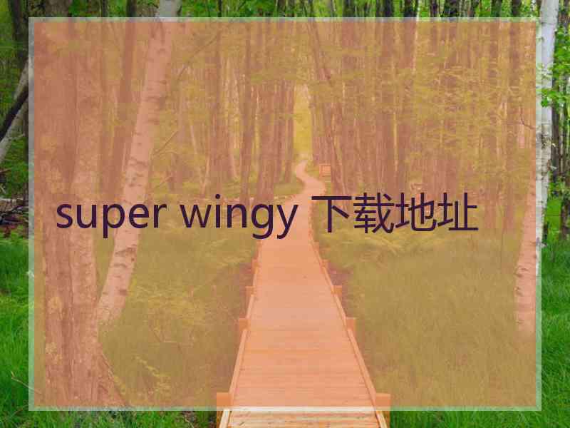 super wingy 下载地址