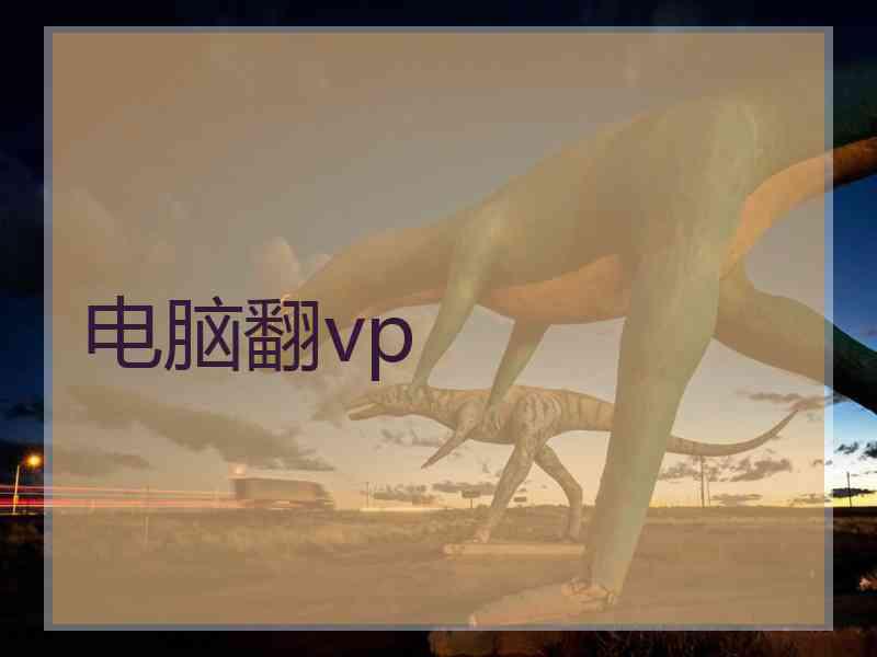 电脑翻vp