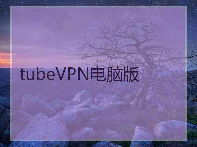 tubeVPN电脑版