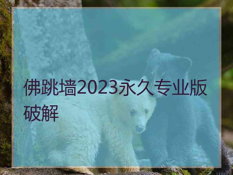 佛跳墙2023永久专业版破解