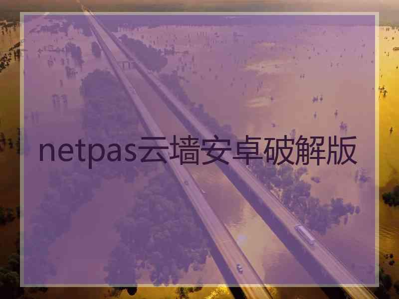 netpas云墙安卓破解版