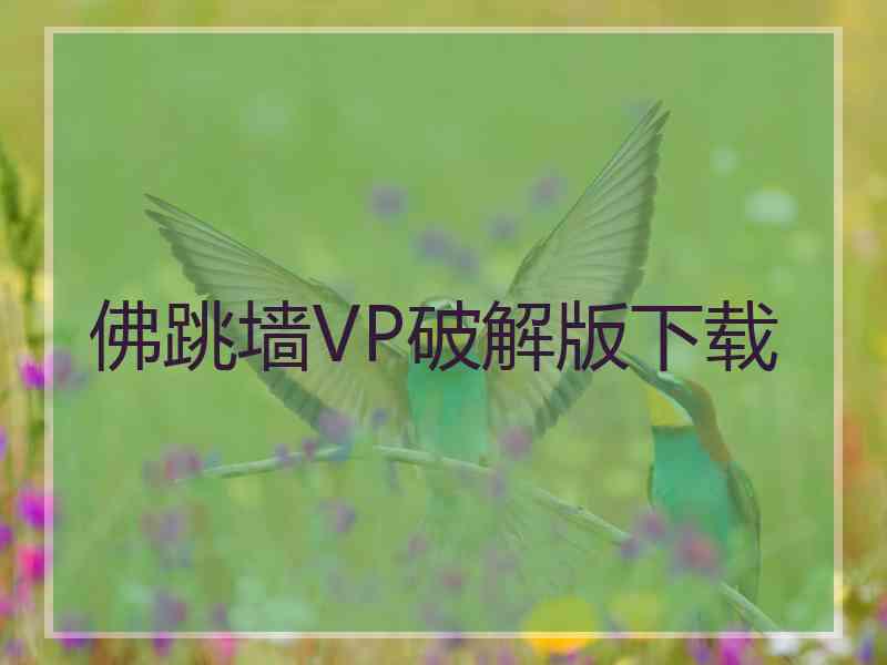 佛跳墙VP破解版下载