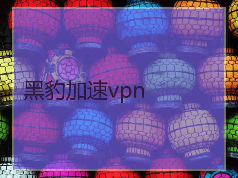 黑豹加速vpn