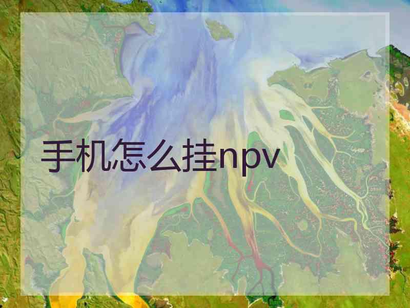 手机怎么挂npv