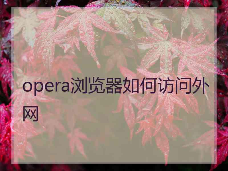 opera浏览器如何访问外网