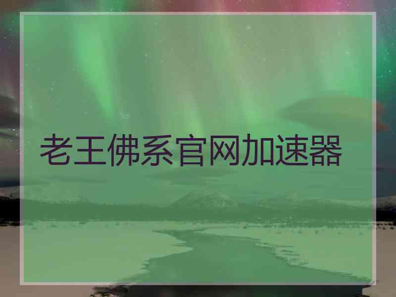 老王佛系官网加速器