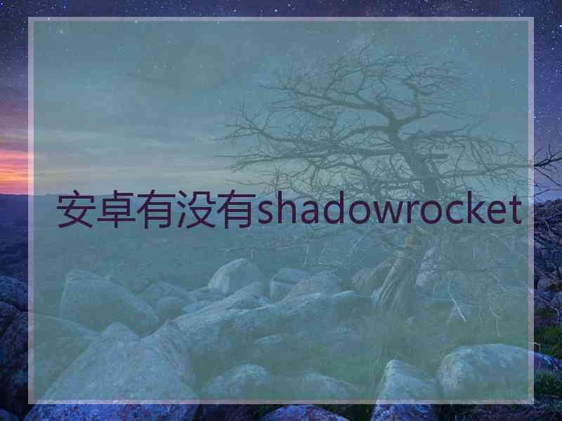 安卓有没有shadowrocket