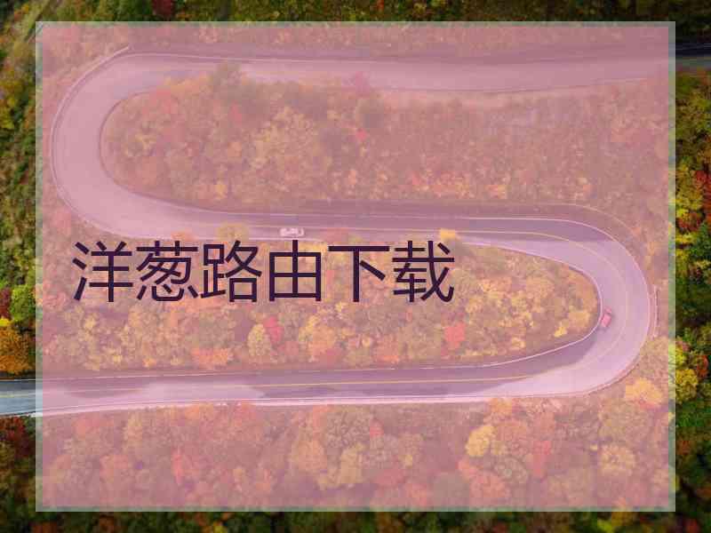 洋葱路由下载