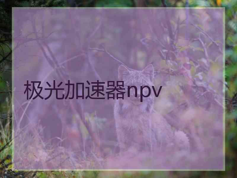 极光加速器npv