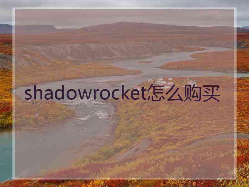 shadowrocket怎么购买