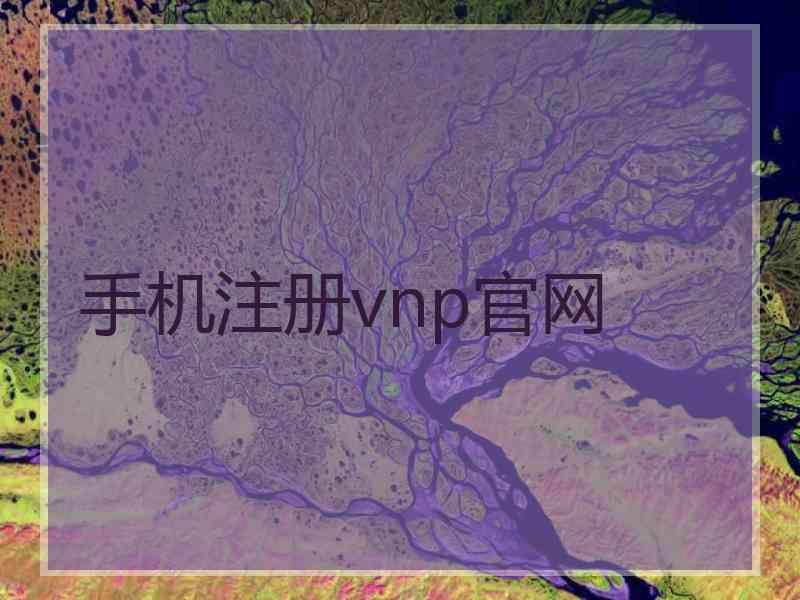 手机注册vnp官网