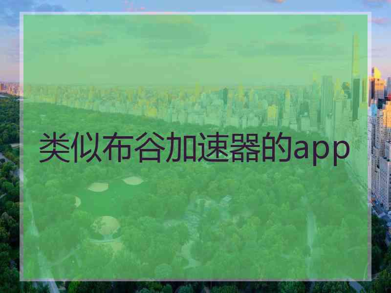 类似布谷加速器的app