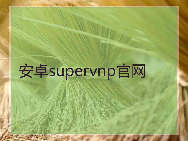 安卓supervnp官网