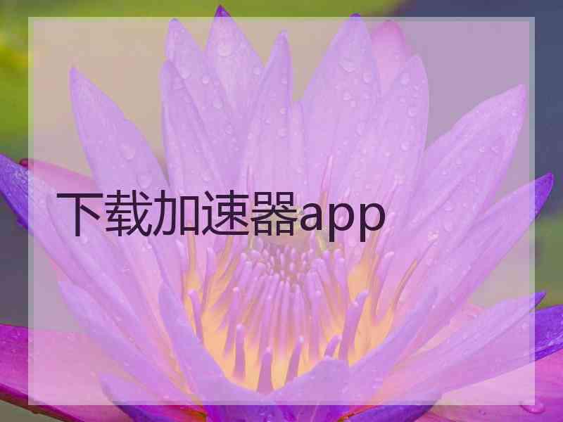 下载加速器app