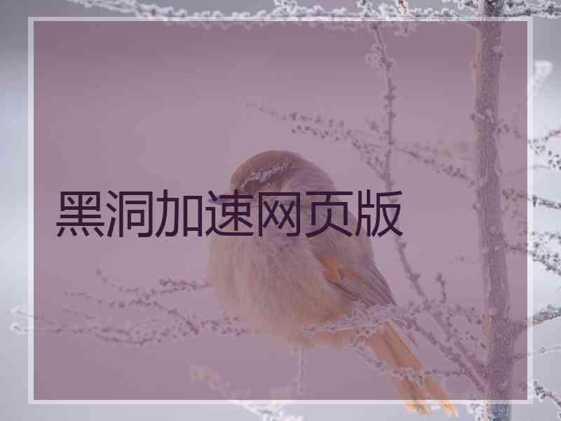 黑洞加速网页版