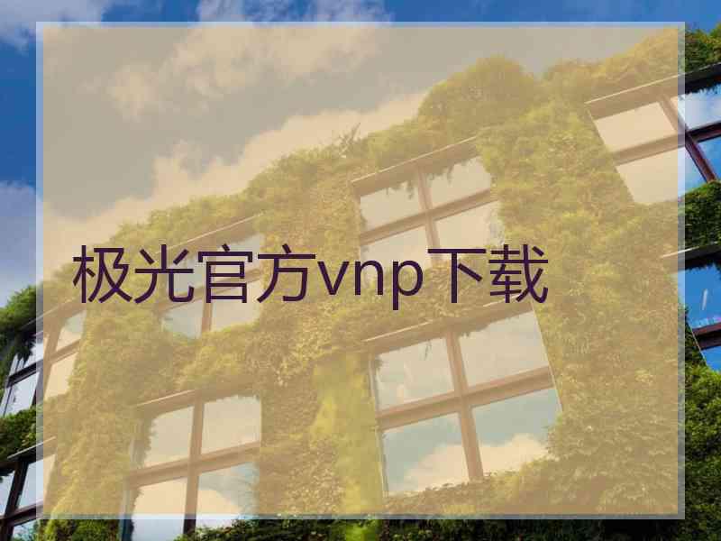 极光官方vnp下载